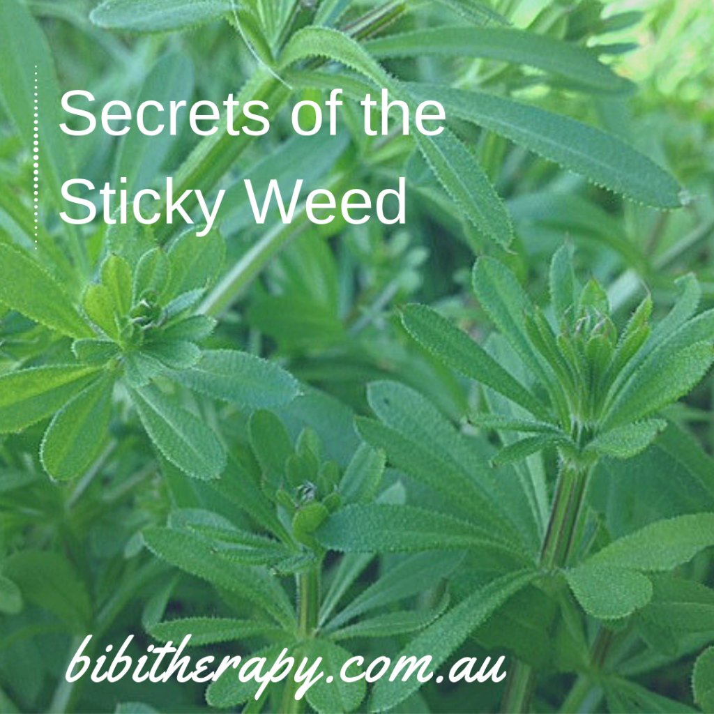 Secrets Of A Sticky Weed Bibi Therapy