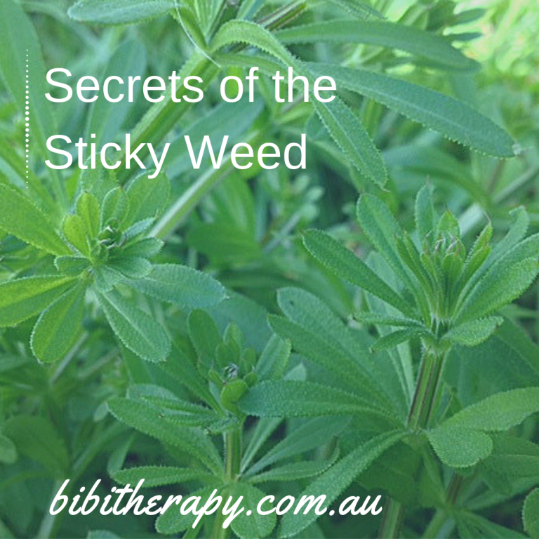 Secrets of a Sticky Weed BiBi Therapy